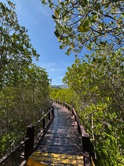 tourist attraction, Asia, scenery, large reservoir, Thailand, Phetchaburi, Prachuap Khiri Khan, Cha-am, Hua Hin, beach, sea, sky, photograph, magnificent, rocks, mangrove forest, sun, daytime