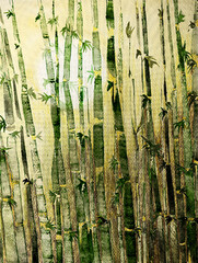 Obraz premium Bamboo grass with foliage, field with sun in background. The dabbing technique near the edges gives a soft focus effect due to the altered surface roughness of the paper.