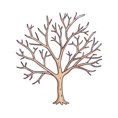 Obraz premium tree with bare branches vector icon, tree with bare branches vector illustration - simple illustration of tree with bare branches, perfect for logos and iconstree with bare branches