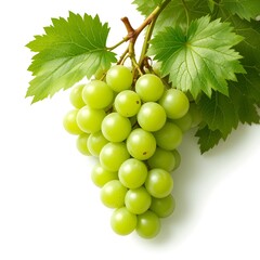 Obraz premium Green grapes fresh fruit and white background 