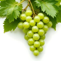 Obraz premium Green grapes fresh fruit and white background 