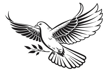 white dove flying