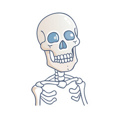 skeleton vector icon, skeleton vector illustration - simple illustration of skeleton, perfect for logos and icons skeleton