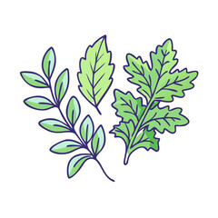 fresh herbs vector icon, fresh herbs vector illustration - simple illustration of fresh herbs, perfect for logos and icons fresh herbs