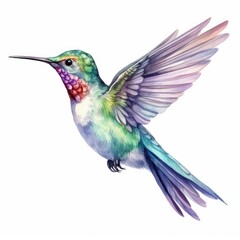 Fototapeta premium Vibrant Colorful Hummingbird in Flight with Detailed Feathers