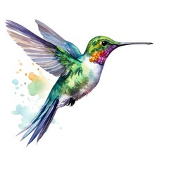Fototapeta premium Colorful Hummingbird in Flight with Watercolor Background Accents
