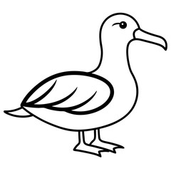 Albatross  line art vector illustration