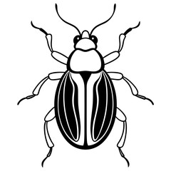 Beetle line art vector illustration 
