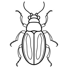 Beetle line art vector illustration 