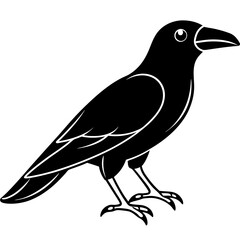 Crow line art vector illustration 