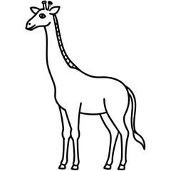 Giraffe  line art vector illustration 