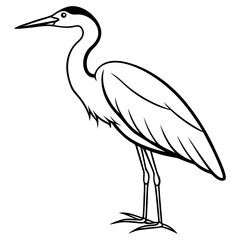 Heron line art vector illustration 