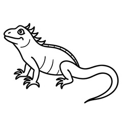 Iguana line art vector illustration 