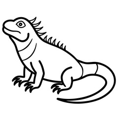 Iguana line art vector illustration 