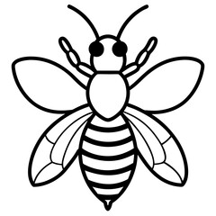 Honey Bee  line art vector illustration 