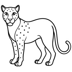 Leopard line art vector illustration 
