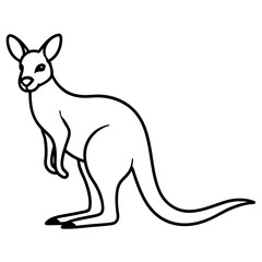 Kangaroo line art vector illustration 