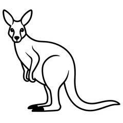 Kangaroo line art vector illustration 
