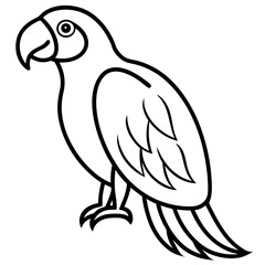 Macaw line art vector illustration 