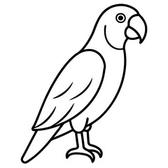 Parrot  line art vector illustration 