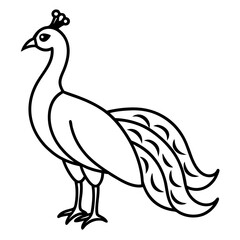 Peacock  line art vector illustration 