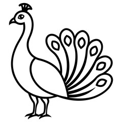 Peacock  line art vector illustration 