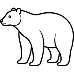 Polar Bear line art vector illustration