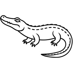Saltwater Crocodile line art vector illustration