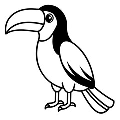  Toucan bold line art vector illustration 