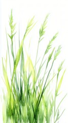 Watercolor Illustration of Fresh Green Grass