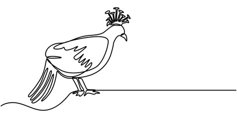 Victoria crown pigeon continuous one line drawing, Crowned dove. A blue pigeon with a fan on its head, Victoria crown pigeon vector illustration white background, A detailed watercolor illustration. 