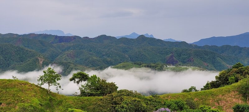 Naturaleza en suaves hilos de seda