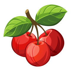 Stunning acerola  vector on white background 