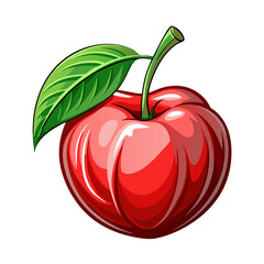 Stunning acerola   vector  on white background 