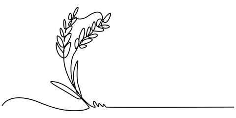 Continuous one line drawing of ripe ears of wheat in silhouette on a white background. Linear stylized, One continuous line. Spikelet of wheat. Spikelet of a cereal plant. Flat minimal icon. One pro.