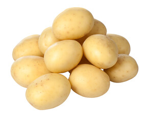potato isolated on white
