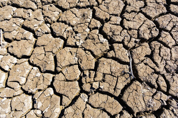 Lack water Sau Reservoir. The swamp is at very low water levels due to lack of rain. Desertification, climate change, environmental problems, drought. Barcelona, Spain