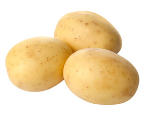 New potato isolated