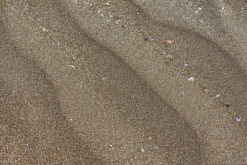 Generated Image Sandy surface, close-up, top view.