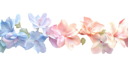 Colorful spring flowers transparent background