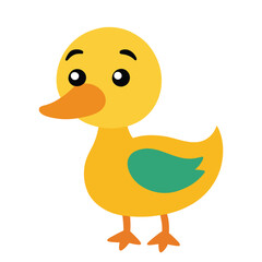 cute little duck 