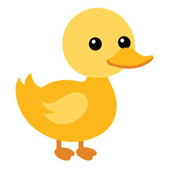 cute little duck 