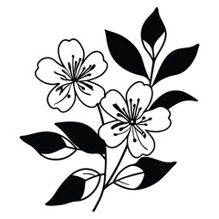 Flower line art. Hand drawn flowers, meadow herbs, wild plants, botanical elements for design projects. Vector illustration.