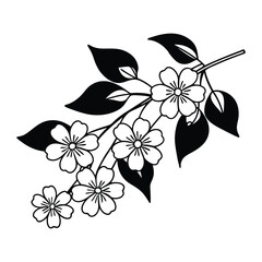 Flower line art. Hand drawn flowers, meadow herbs, wild plants, botanical elements for design projects. Vector illustration.