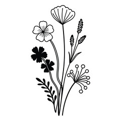 Flower line art. Hand drawn flowers, meadow herbs, wild plants, botanical elements for design projects. Vector illustration.