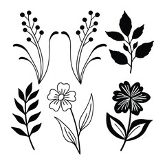 Flower line art. Hand drawn flowers, meadow herbs, wild plants, botanical elements for design projects. Vector illustration.