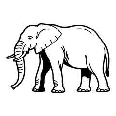 elephant isolated on white
