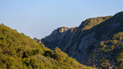 landscape in the morning