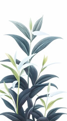 Elegant blue-green foliage, botanical illustration, white flowers, minimalist background; ideal for home decor, websites, and greeting cards