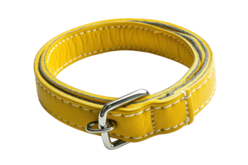 Yellow leather collar with silver buckle designed for pets offered in a bright and stylish presentation